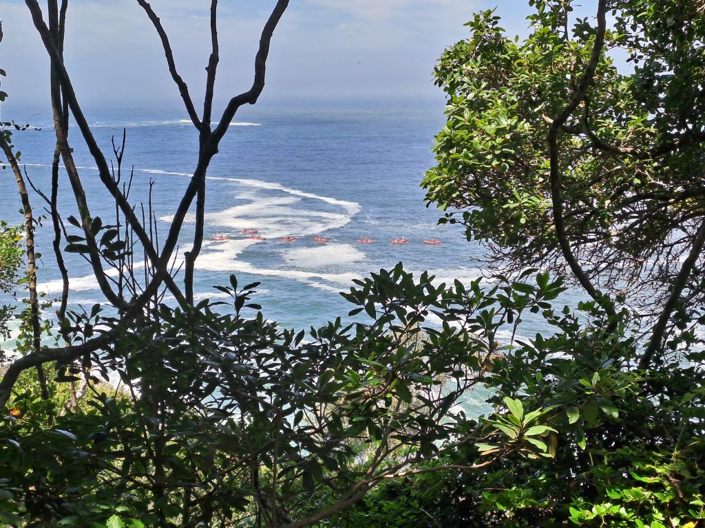 Garden Route